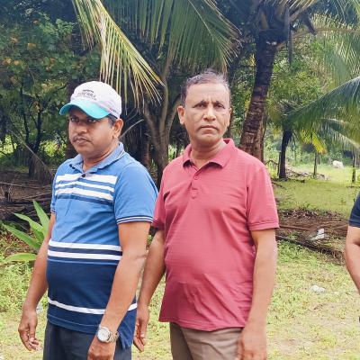 473091817 2989324707900942 5355513007602085137 N